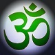 Indian Sitar Logo 