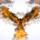 Flaming Eagle Logo Reveal - VideoHive Item for Sale