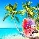 Summer Pop Fashion Tropical House