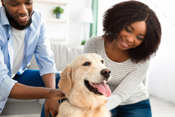 Young black couple hugging with dog posing at home / Photodune, Misc