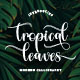 Tropical Leaves - GraphicRiver Item for Sale