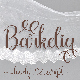Barkelia Lovely Script - GraphicRiver Item for Sale