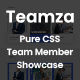 Teamza - Pure CSS Team Member Showcase - CodeCanyon Item for Sale