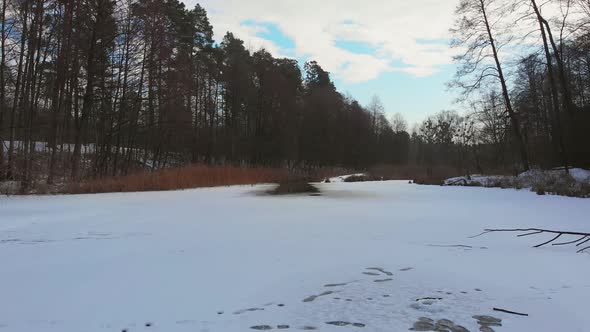 Frozen Pond Forest alt