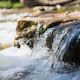 Water Stream