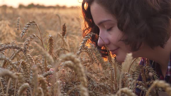 Happy Woman Agronomist In Wheat Field Inhales The Smell Of Spikelets. Wheat Field At Sunset