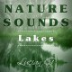 Lake Stereophonic Immersive Ambient with Frogs and Birds - AudioJungle Item for Sale