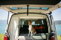 Basenji puppy sits in back of camping van - PhotoDune Item for Sale