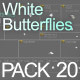 Butterflies White 20 - VideoHive Item for Sale