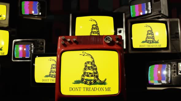 The Gadsden Flag on Retro TVs.