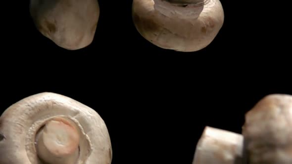 Closeup of Champignon Mushroom Falling Down and Rotating on Black Background