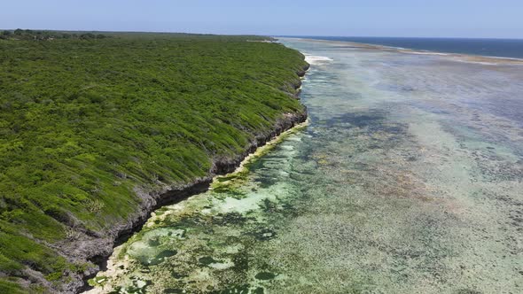 Shore of Zanzibar Island Tanzania at Low Tide Slow Motion