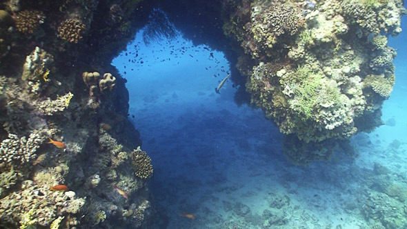 Divers Swim Through the Underwater Tunnel, Red Sea