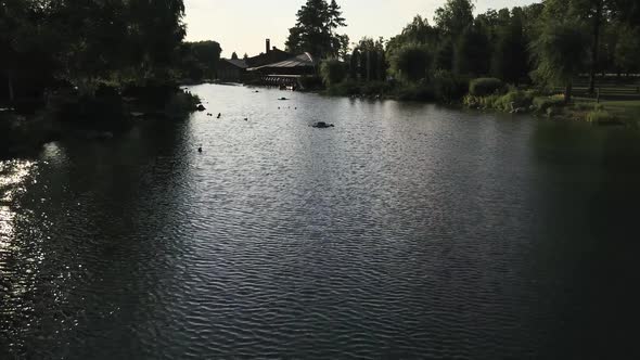 Lake in the Park Drone View