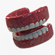 Low Detail TeethsTongue SEt - 3DOcean Item for Sale