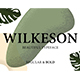 Wilkeson Modern Serif Typeface - GraphicRiver Item for Sale