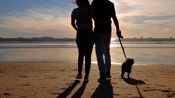 Couple walking their dog on the beach