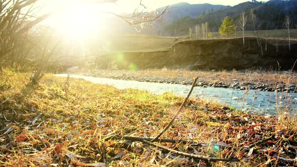 Dolly Slider Shot of the Splashing Water in a Mountain River Near Forest. Wet Rocks and Sun Rays