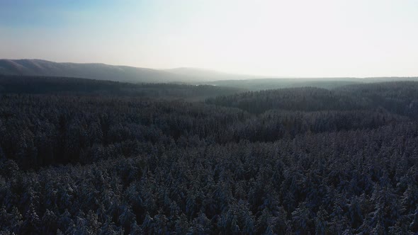 Cinematic Aerial View of a Cold Snowcovered Forest at the Top of a Hill