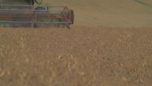 Combine harvesting wheat