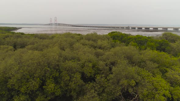 Suspension Cable Bridge in Surabaya