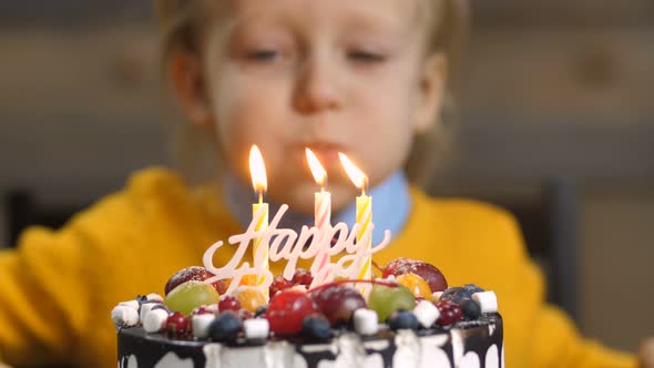  of Boy Blowing Candles on Birthday Cake