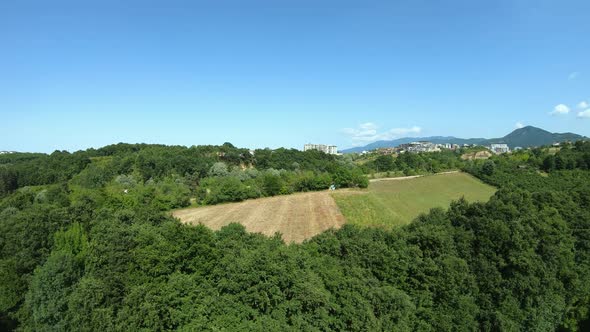 Aerial Farmland Forest