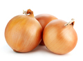 fresh raw onion - PhotoDune Item for Sale