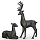 deer - 3DOcean Item for Sale