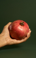 Holding red ripe pomegranate - PhotoDune Item for Sale