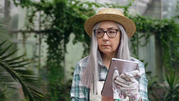 Senior Woman with Grey Hair in Straw Hat which Passing Through Greenhouse and Making Calculations