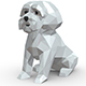 Maltese dog - 3DOcean Item for Sale