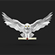 owl - 3DOcean Item for Sale