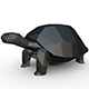 turtle figure - 3DOcean Item for Sale