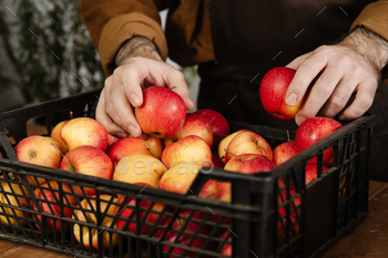 White seller man in apron holding apples while working at local eco shop / Photodune