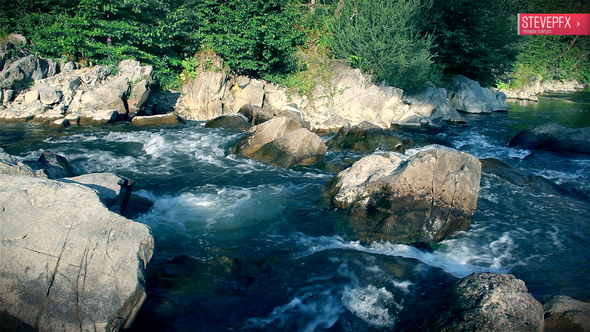 The Mountain River in the Forest