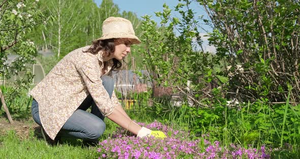 Young Beautiful Girl in Hat, Works in the Garden, Cares for Flowers. Woman Farmer Works at Cottage