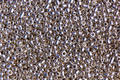 Silver bead texture - PhotoDune Item for Sale
