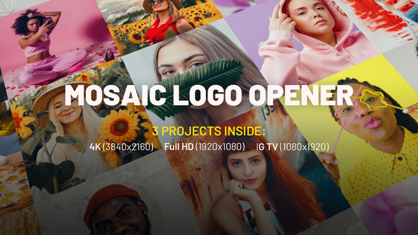 Mosaic Logo Opener