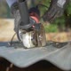 Cutting Iron With An Angle Grinder - VideoHive Item for Sale