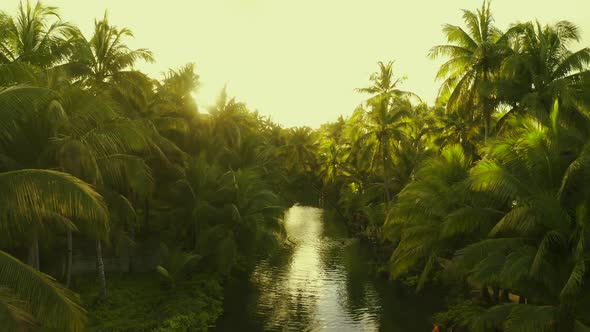 Sunset Nature River Landscape and Palm Trees Aerial View. People Having Active Fun in River.