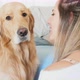 Woman brushing and kissing golden retriever in living room, Milan, Italy - VideoHive Item for Sale