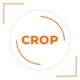 Crop - Creative Photography Google Slides - GraphicRiver Item for Sale