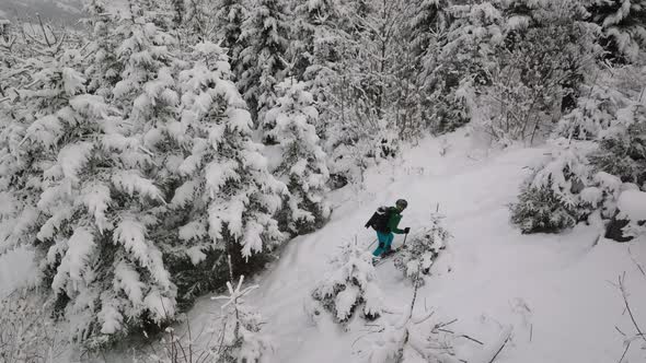 Drone Of Man Ski Touring Uphill Through Snow Covered Forest