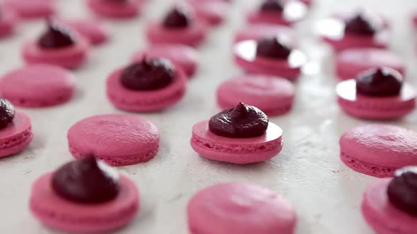 Closeup View of Many Rows of Pink Opened Halves with Filling Macarons Macaroon on White Background