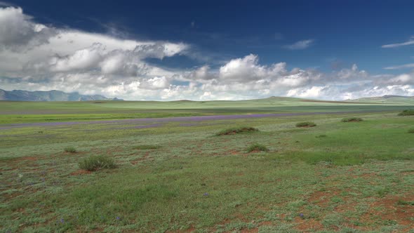Giant Meadows in the Mongolia Steppes