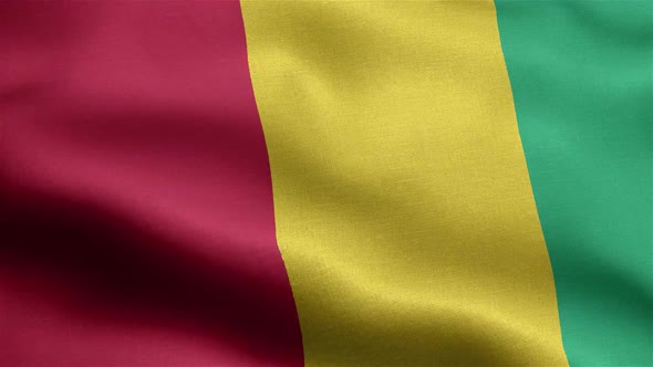 Guinea Flag Seamless Closeup Waving Animation