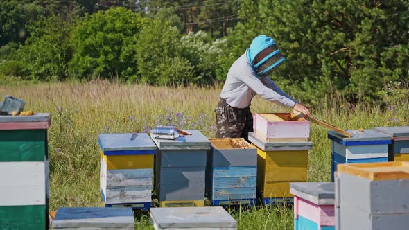 Apiculture process. Beekeeper in protective hat working with wooden boxes. 