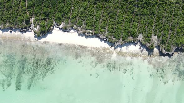 Vertical Video of the Ocean Near the Coast of Zanzibar Tanzania Aerial View