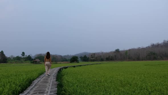 A young woman walking across bamboo bridge in paddy field